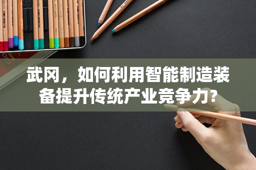 武冈，如何利用智能制造装备提升传统产业竞争力？