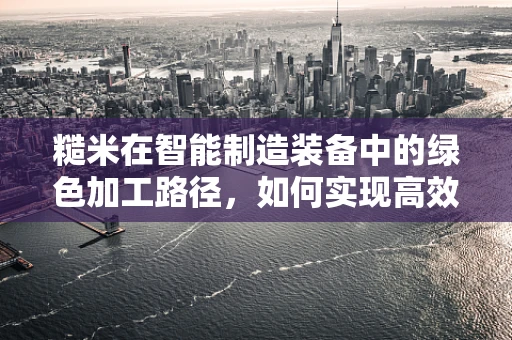 糙米在智能制造装备中的绿色加工路径，如何实现高效与环保的双重目标？