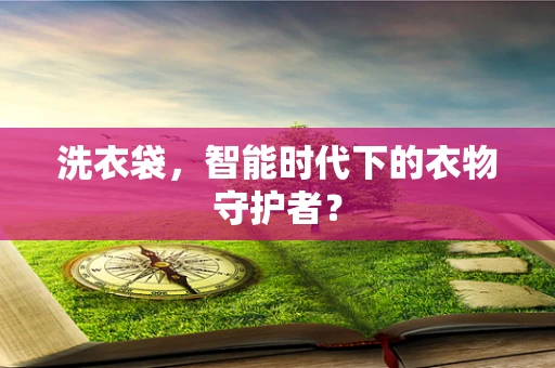 洗衣袋，智能时代下的衣物守护者？