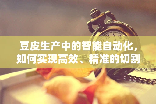 豆皮生产中的智能自动化，如何实现高效、精准的切割？