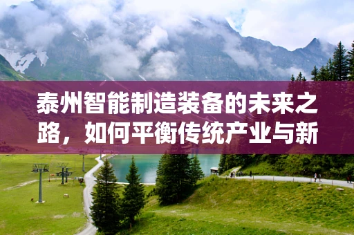 泰州智能制造装备的未来之路，如何平衡传统产业与新兴技术的融合发展？