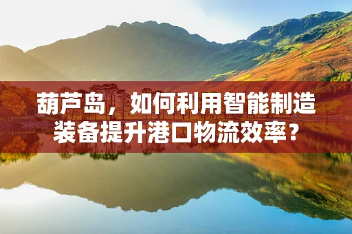 葫芦岛，如何利用智能制造装备提升港口物流效率？