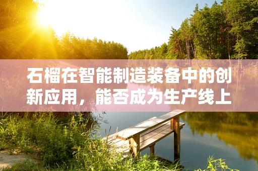 石榴在智能制造装备中的创新应用，能否成为生产线上的‘甜蜜助力’？