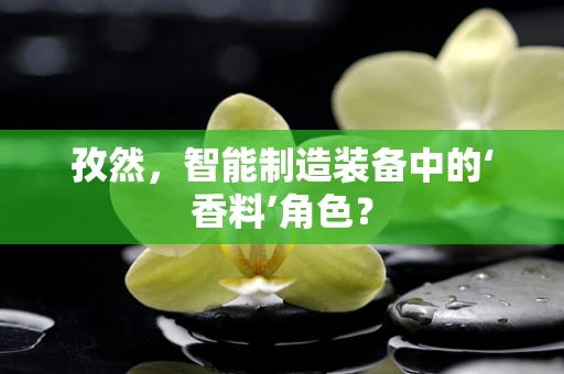 孜然，智能制造装备中的‘香料’角色？