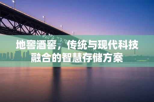 地窖酒窖，传统与现代科技融合的智慧存储方案
