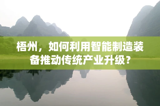 梧州，如何利用智能制造装备推动传统产业升级？