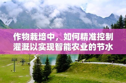 作物栽培中，如何精准控制灌溉以实现智能农业的节水增效？