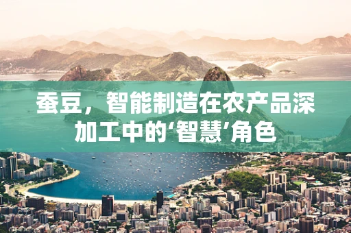 蚕豆，智能制造在农产品深加工中的‘智慧’角色