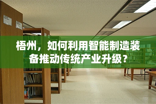 梧州，如何利用智能制造装备推动传统产业升级？
