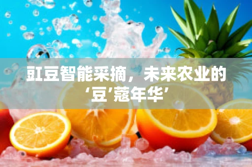豇豆智能采摘，未来农业的‘豆’蔻年华’