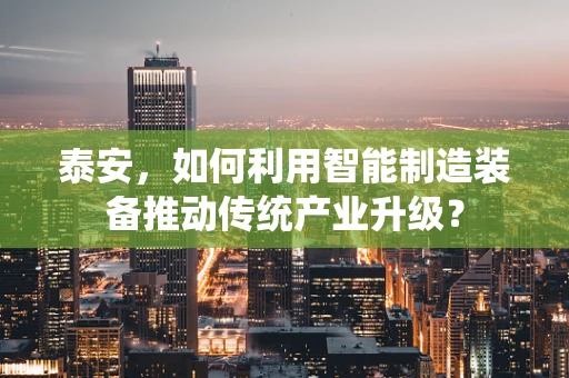 泰安，如何利用智能制造装备推动传统产业升级？