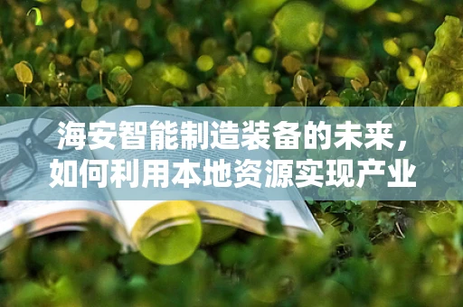 海安智能制造装备的未来，如何利用本地资源实现产业升级？