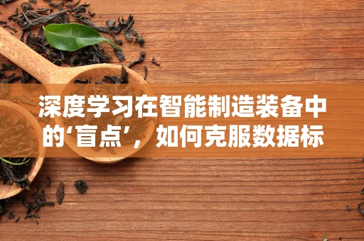 深度学习在智能制造装备中的‘盲点’，如何克服数据标注的局限？
