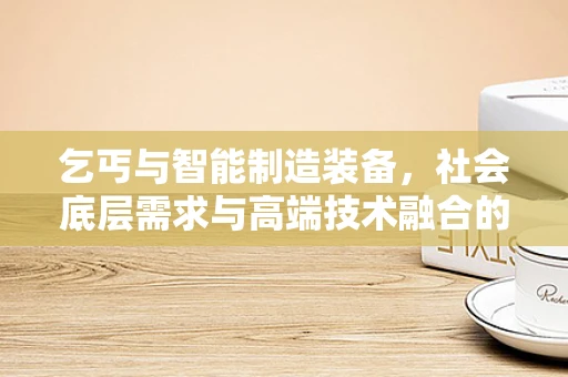 乞丐与智能制造装备，社会底层需求与高端技术融合的悖论
