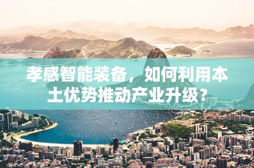 孝感智能装备，如何利用本土优势推动产业升级？