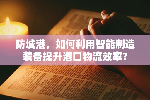 防城港，如何利用智能制造装备提升港口物流效率？
