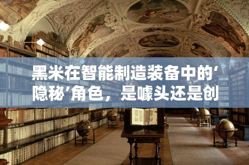 黑米在智能制造装备中的‘隐秘’角色，是噱头还是创新关键？