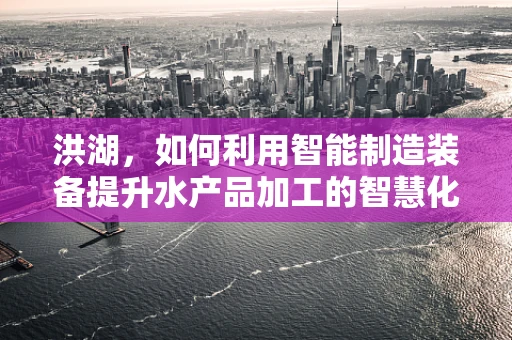 洪湖，如何利用智能制造装备提升水产品加工的智慧化水平？