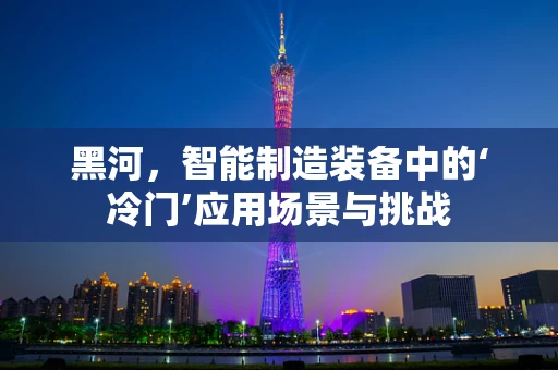 黑河，智能制造装备中的‘冷门’应用场景与挑战
