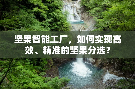 坚果智能工厂，如何实现高效、精准的坚果分选？