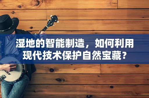 湿地的智能制造，如何利用现代技术保护自然宝藏？