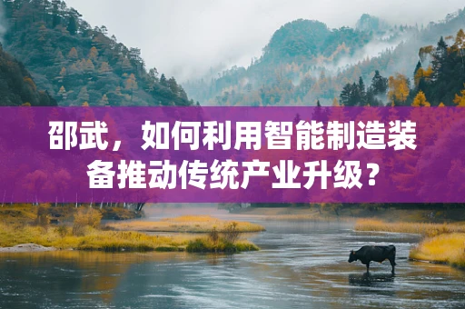 邵武，如何利用智能制造装备推动传统产业升级？