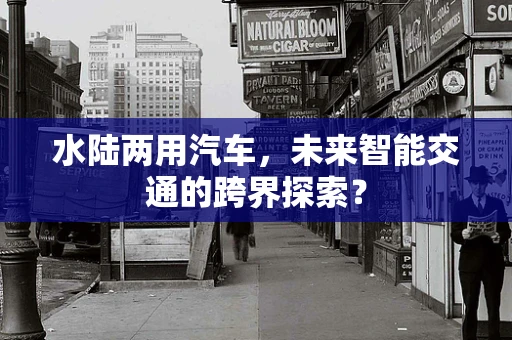 水陆两用汽车，未来智能交通的跨界探索？