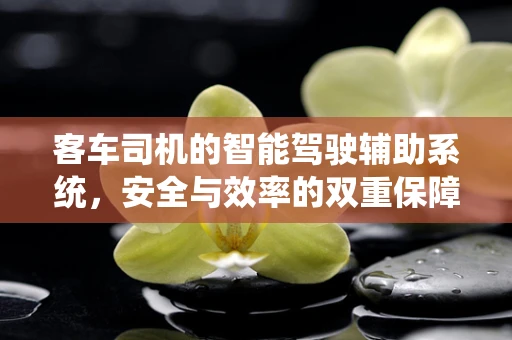 客车司机的智能驾驶辅助系统，安全与效率的双重保障？