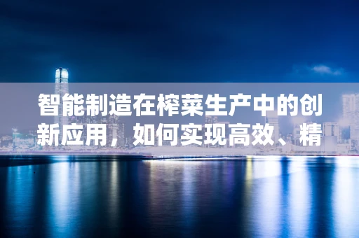 智能制造在榨菜生产中的创新应用，如何实现高效、精准的自动化生产？