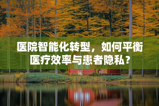 医院智能化转型，如何平衡医疗效率与患者隐私？