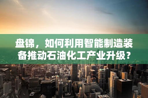 盘锦，如何利用智能制造装备推动石油化工产业升级？