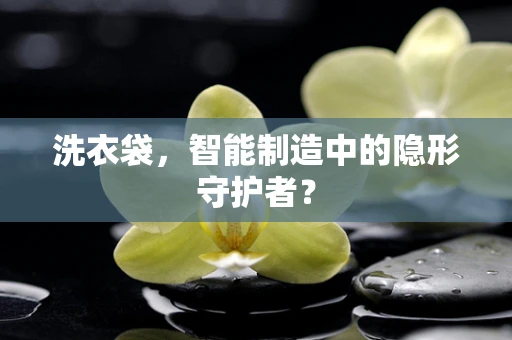洗衣袋，智能制造中的隐形守护者？