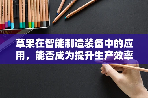 草果在智能制造装备中的应用，能否成为提升生产效率的‘秘密武器’？