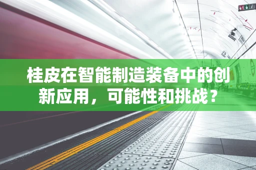 桂皮在智能制造装备中的创新应用，可能性和挑战？