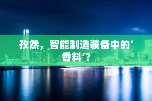 孜然，智能制造装备中的‘香料’？