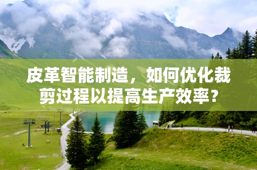 皮革智能制造，如何优化裁剪过程以提高生产效率？