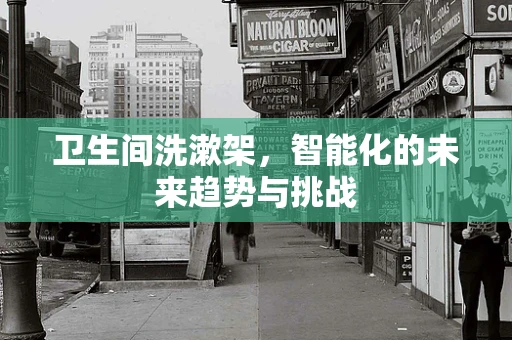 卫生间洗漱架，智能化的未来趋势与挑战