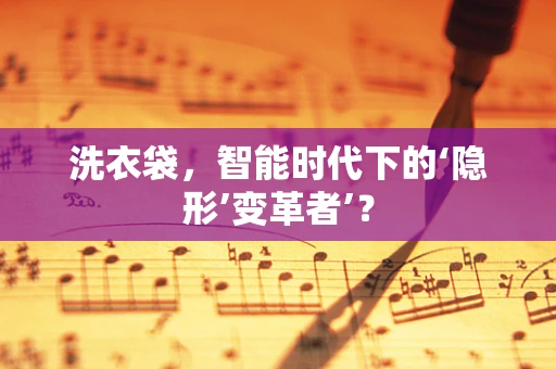 洗衣袋，智能时代下的‘隐形’变革者’？