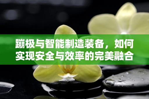 蹦极与智能制造装备，如何实现安全与效率的完美融合？