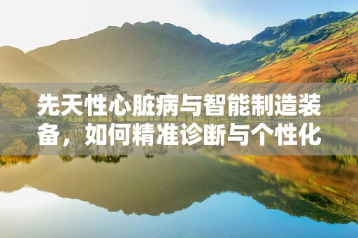 先天性心脏病与智能制造装备，如何精准诊断与个性化治疗？