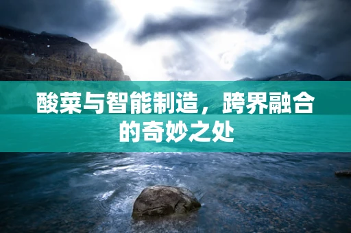 酸菜与智能制造，跨界融合的奇妙之处