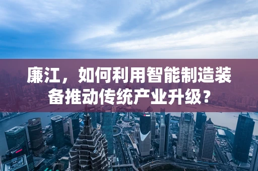 廉江，如何利用智能制造装备推动传统产业升级？