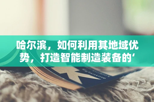 哈尔滨，如何利用其地域优势，打造智能制造装备的‘北方硅谷’？
