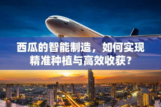 西瓜的智能制造，如何实现精准种植与高效收获？
