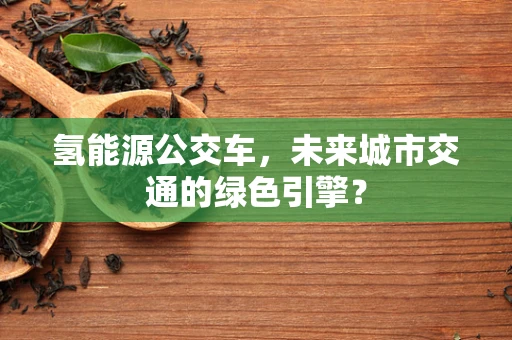 氢能源公交车，未来城市交通的绿色引擎？