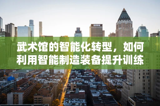 武术馆的智能化转型，如何利用智能制造装备提升训练效率与安全性？