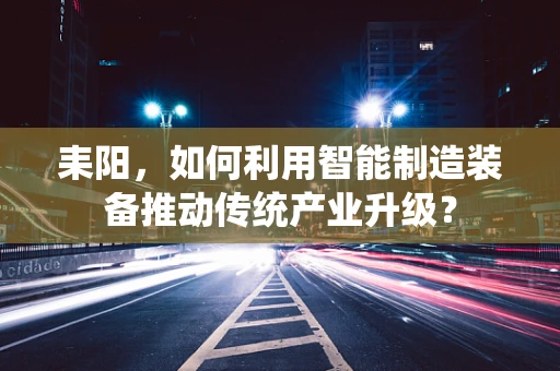 耒阳，如何利用智能制造装备推动传统产业升级？