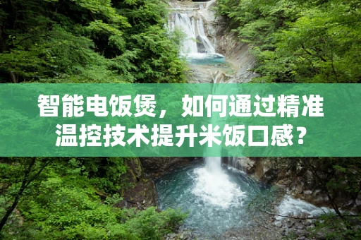 智能电饭煲，如何通过精准温控技术提升米饭口感？