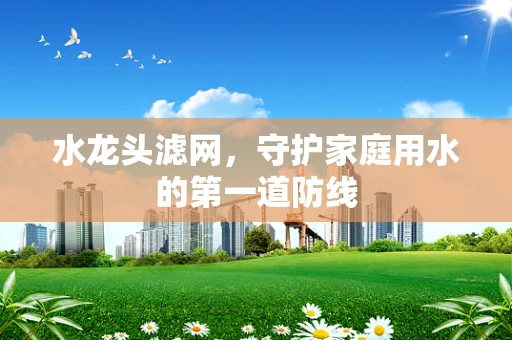 水龙头滤网，守护家庭用水的第一道防线