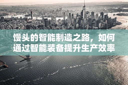 馒头的智能制造之路，如何通过智能装备提升生产效率与品质？